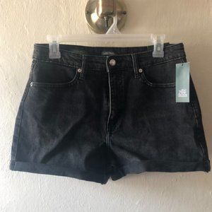 Wild Fable Black Denim High Wasted Shorts